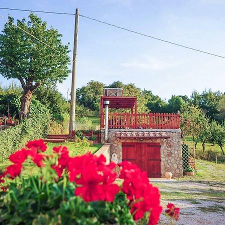 Apartamento La Finestra Sul Castello Arcidosso Exterior foto